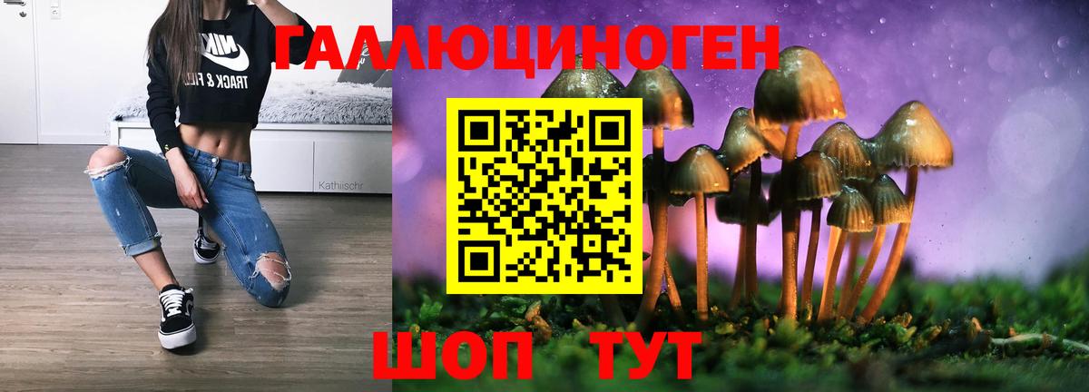 Галлюциногенные грибы Psilocybine cubensis  Вход с VPN  Псилоцибиновые грибы MAGIC MUSHROOMS  Саранск 